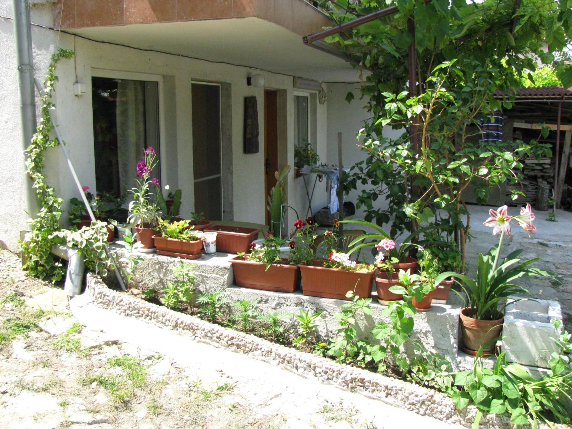 Guest House Familia Samovodene Bagian luar foto
