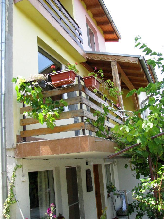 Guest House Familia Samovodene Bagian luar foto